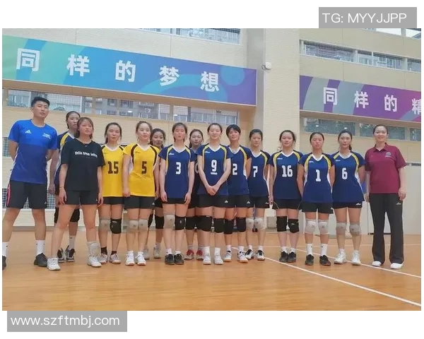 最新排球个人能力排行榜揭晓西安球队表现抢眼引关注